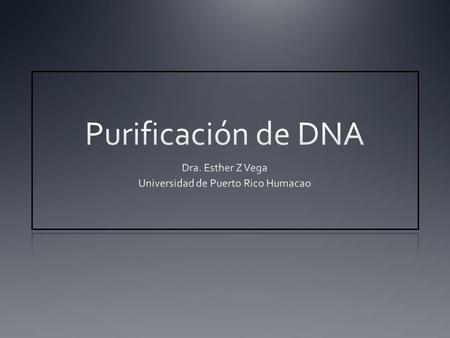 Dra. Esther Z Vega Universidad de Puerto Rico Humacao