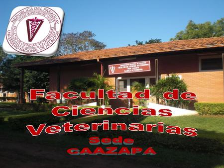 Facultad de Ciencias Veterinarias Sede CAAZAPÁ.