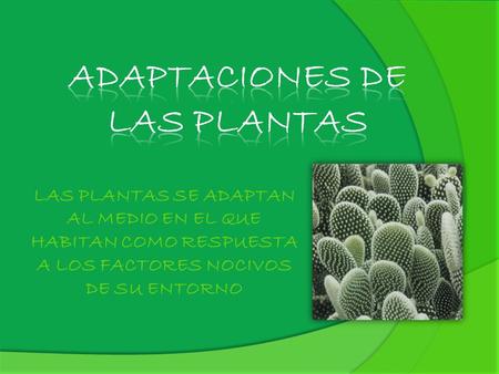 ADAPTACIONES DE LAS PLANTAS