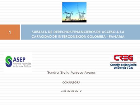Sandra Stella Fonseca Arenas CONSULTORA Julio 20 de 2010 SUBASTA DE DERECHOS FINANCIEROS DE ACCESO A LA CAPACIDAD DE INTERCONEXION COLOMBIA - PANAMA 1.
