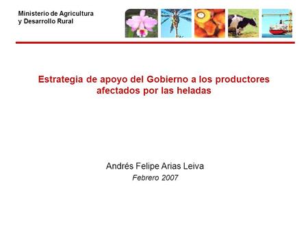 Ministerio de Agricultura y Desarrollo Rural Estrategia de apoyo del Gobierno a los productores afectados por las heladas Andrés Felipe Arias Leiva Febrero.