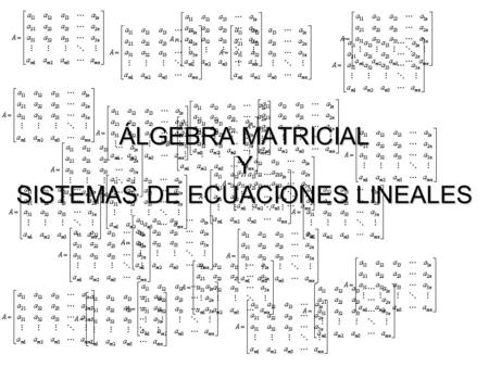 ÁLGEBRA MATRICIAL Y SISTEMAS DE ECUACIONES LINEALES