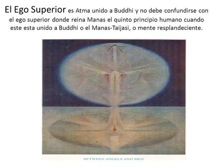 El Ego Superior es Atma unido a Buddhi y no debe confundirse con el ego superior donde reina Manas el quinto principio humano cuando este esta unido a.