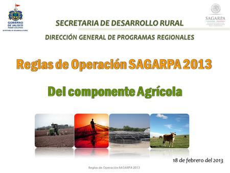 Reglas de Operación SAGARPA 2013 SECRETARIA DE DESARROLLO RURAL DIRECCIÓN GENERAL DE PROGRAMAS REGIONALES 18 de febrero del 2013.