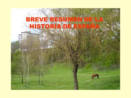 BREVE RESUMEN DE LA HISTORIA DE ESPAÑA