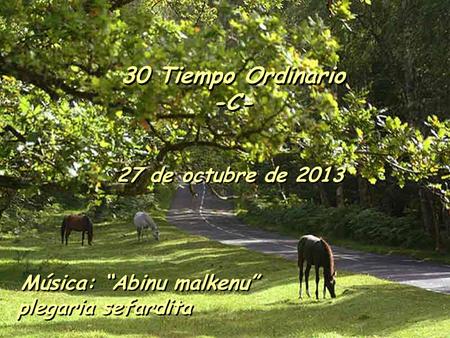 30 Tiempo Ordinario -C- 27 de octubre de 2013