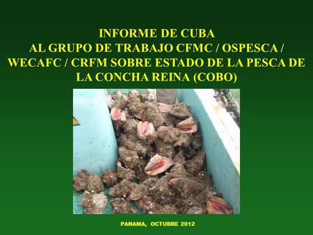 INFORME DE CUBA AL GRUPO DE TRABAJO CFMC / OSPESCA / WECAFC / CRFM SOBRE ESTADO DE LA PESCA DE LA CONCHA REINA (COBO) PANAMA, OCTUBRE 2012.