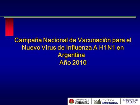 Campaña Nacional de Vacunación para el Nuevo Virus de Influenza A H1N1 en Argentina   Año 2010  