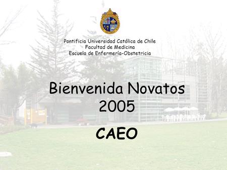 Pontificia Universidad Católica de Chile Facultad de Medicina Escuela de Enfermería-Obstetricia Bienvenida Novatos 2005 CAEO.