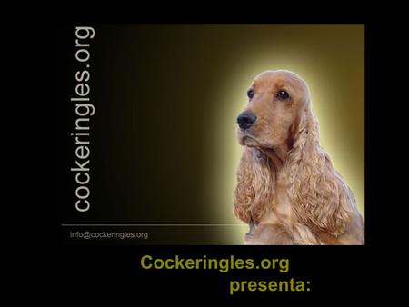 Cockeringles.org presenta:.