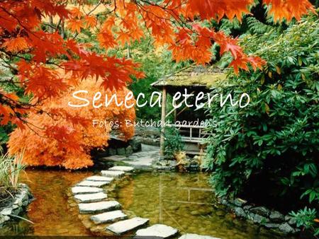 Seneca eterno Fotos: Butchart gardens La vida es como una leyenda: No importa que sea larga, sino que esté bien narrada.