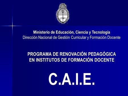 Ministerio de Educación, Ciencia y Tecnología Dirección Nacional de Gestión Curricular y Formación Docente PROGRAMA DE RENOVACIÓN PEDAGÓGICA EN INSTITUTOS.