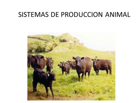 SISTEMAS DE PRODUCCION ANIMAL