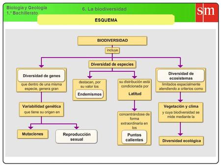 6. La biodiversidad Biología y Geología 1.º Bachillerato ESQUEMA.