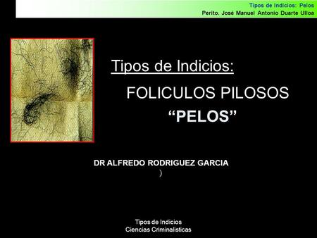 FOLICULOS PILOSOS Tipos de Indicios: “PELOS”