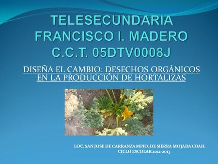 TELESECUNDARIA FRANCISCO I. MADERO C.C.T. 05DTV0008J
