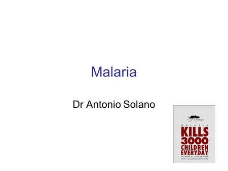 Malaria Dr Antonio Solano.