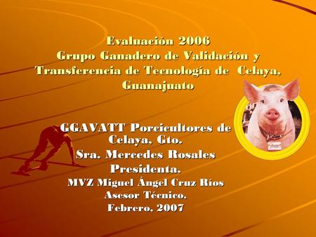 GGAVATT Porcicultores de Celaya, Gto. MVZ Miguel Ángel Cruz Ríos