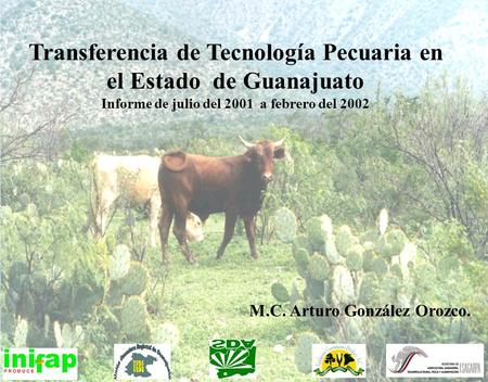 Transferencia de Tecnología Pecuaria en el Estado de Guanajuato