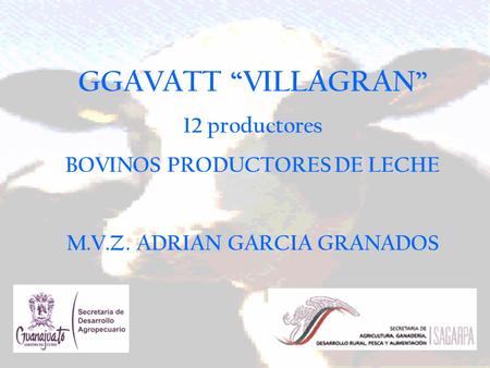 BOVINOS PRODUCTORES DE LECHE M.V.Z. ADRIAN GARCIA GRANADOS