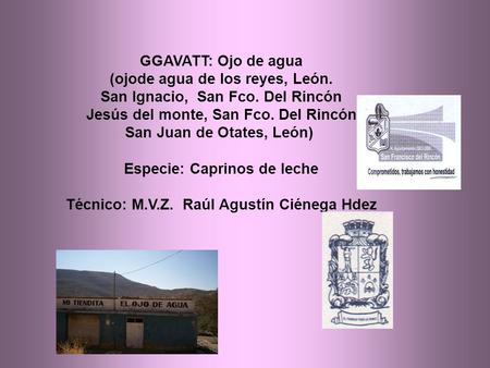 GGAVATT: Ojo de agua (ojode agua de los reyes, León. San Ignacio, San Fco. Del Rincón Jesús del monte, San Fco. Del Rincón San Juan de Otates, León) Especie: