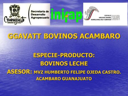 GGAVATT BOVINOS ACAMBARO ASESOR: MVZ HUMBERTO FELIPE OJEDA CASTRO.