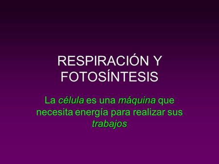 RESPIRACIÓN Y FOTOSÍNTESIS