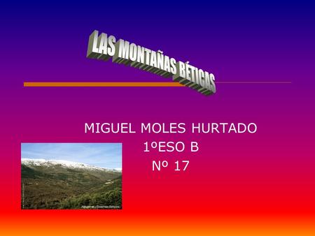 MIGUEL MOLES HURTADO 1ºESO B Nº 17