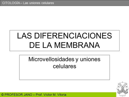 CITOLOGÍA – Las uniones celulares © PROFESOR JANO – Prof. Víctor M. Vitoria LAS DIFERENCIACIONES DE LA MEMBRANA Microvellosidades y uniones celulares.