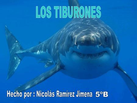 LOS TIBURONES Hecho por : Nicolás Ramírez Jimena 5ºB.