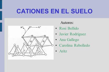 CATIONES EN EL SUELO Autores: Rosi Bellido Javier Rodríguez