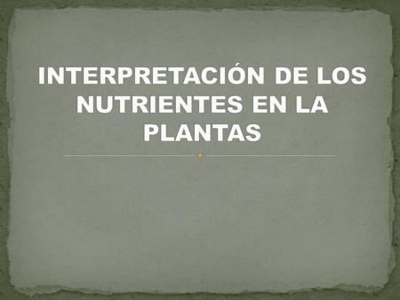 INTERPRETACIÓN DE LOS NUTRIENTES EN LA PLANTAS