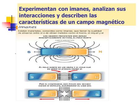 Experimentan con imanes, analizan sus interacciones y describen las características de un campo magnético.