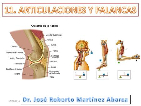 11. ARTICULACIONES Y PALANCAS Dr. José Roberto Martínez Abarca