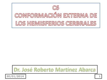 C6 CONFORMACIÓN EXTERNA DE LOS HEMISFERIOS CERBRALES