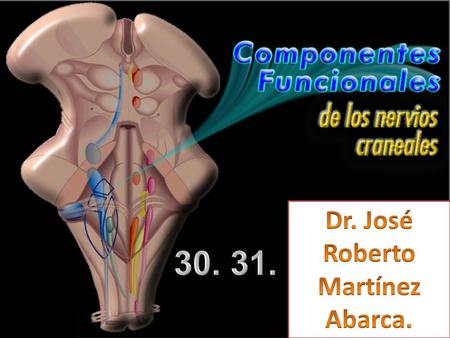 Dr. José Roberto Martínez Abarca. 30. 31. 24/03/2017.