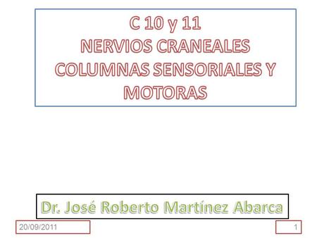 C 10 y 11 NERVIOS CRANEALES COLUMNAS SENSORIALES Y MOTORAS