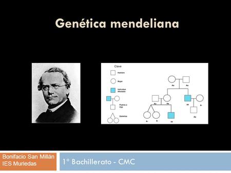 Genética mendeliana 1º Bachillerato - CMC Bonifacio San Millán