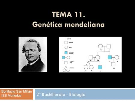 TEMA 11. Genética mendeliana