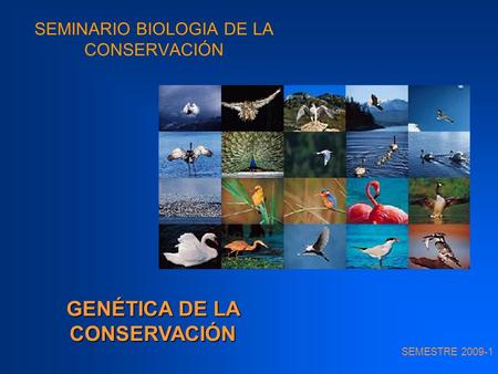 SEMINARIO BIOLOGIA DE LA CONSERVACIÓN