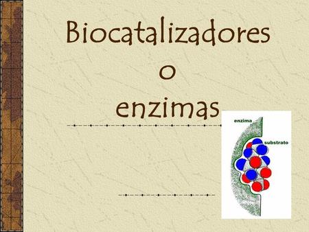 Biocatalizadores o enzimas