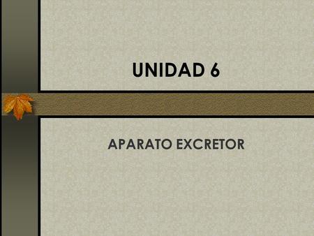 UNIDAD 6 APARATO EXCRETOR.
