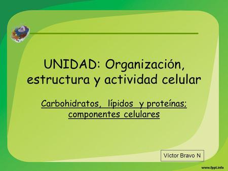 UNIDAD: Organización, estructura y actividad celular