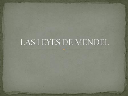 LAS LEYES DE MENDEL.