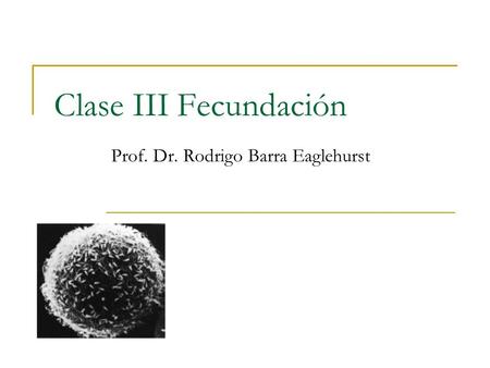Prof. Dr. Rodrigo Barra Eaglehurst