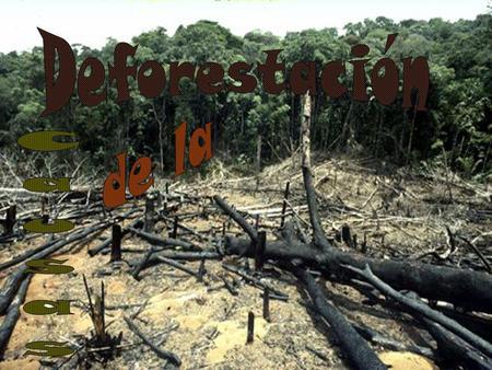 Deforestación de la Causas.