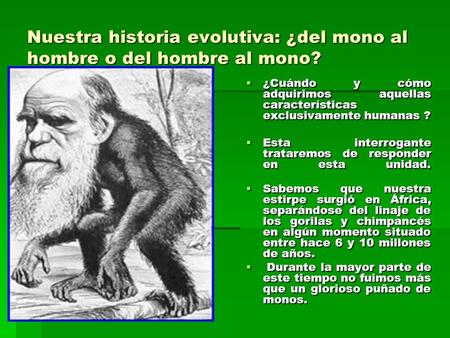 Nuestra historia evolutiva: ¿del mono al hombre o del hombre al mono?