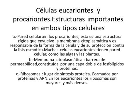 Células eucariontes y procariontes