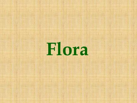 Flora.