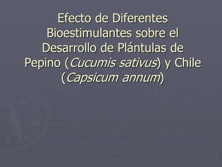 Efecto de Diferentes Bioestimulantes sobre el Desarrollo de Plántulas de Pepino (Cucumis sativus) y Chile (Capsicum annum)